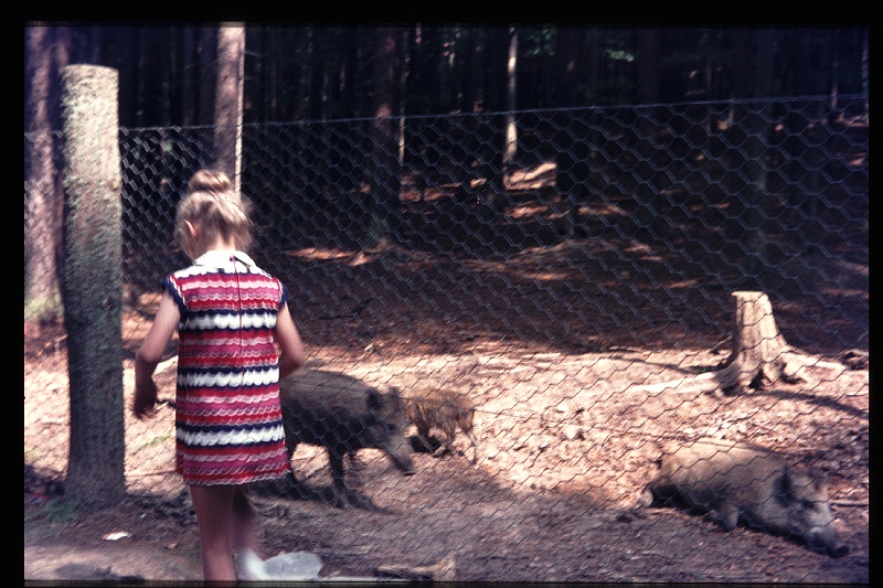 20.Einsiedel jul 1971 Brigitte.JPG